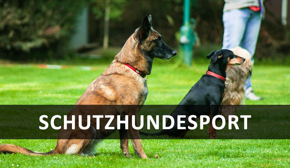 Schutzhundesport Schutzhundesport